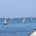 foto elettorali 072