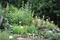 biodiversità