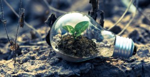 foto transizione ecologica